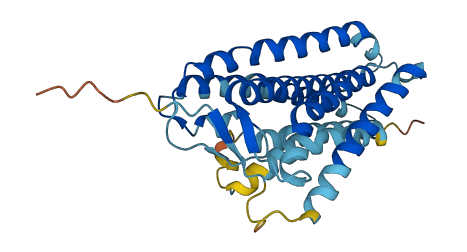 OR51H1 3D structure