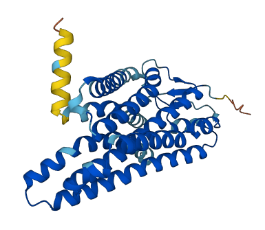 OR51A7 3D structure