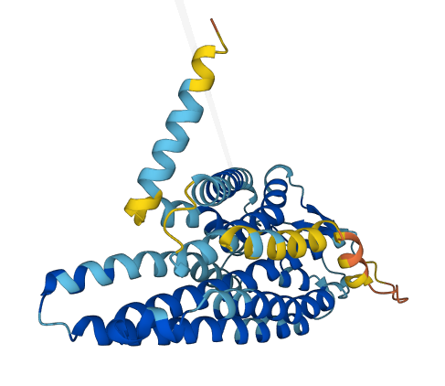 OR52I2 3D structure