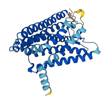 OR5W2 3D structure