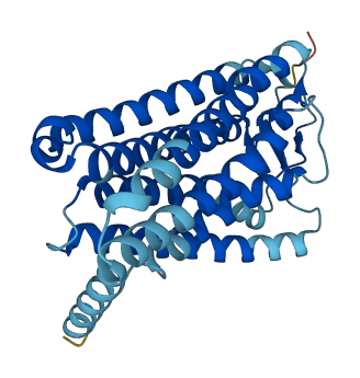 OR4C6 3D structure