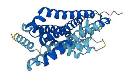 OR10A6 3D structure