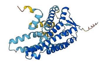 OR56B4 3D structure