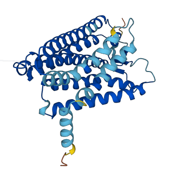 OR10D3 3D structure
