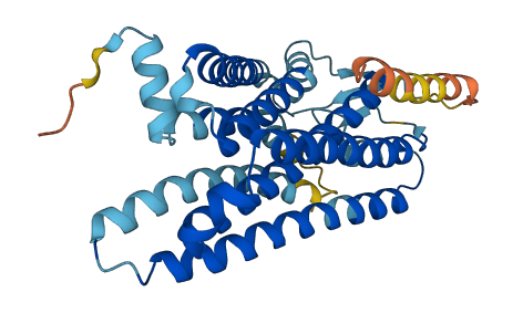 OR10G6 3D structure