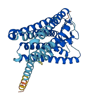 OR4A5 3D structure