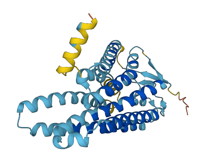 OR5AK2 3D structure
