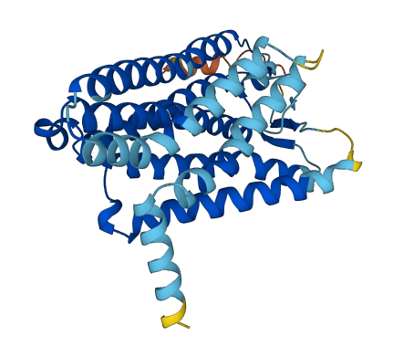 OR1S1 3D structure