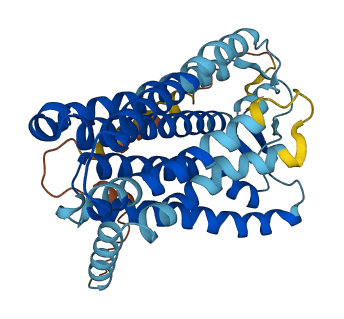OR1L1 3D structure