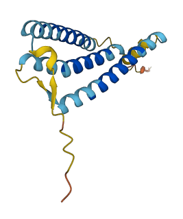 OR13C6P 3D structure
