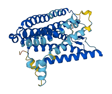 OR2AE1 3D structure