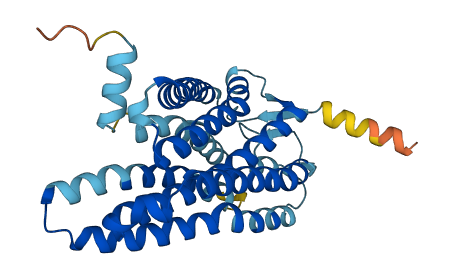 OR2W6P 3D structure