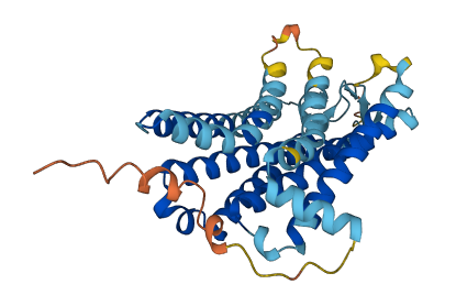 OR1F12 3D structure