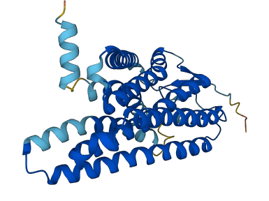 OR5K1 3D structure