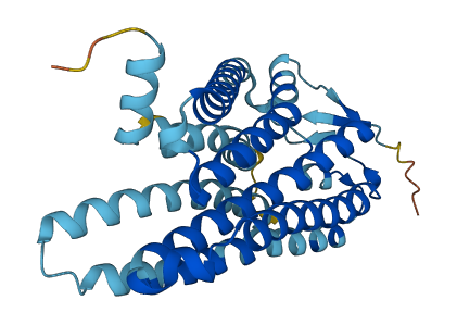 OR10J5 3D structure