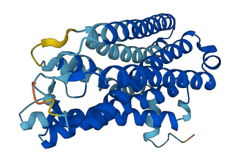 OR14A16 3D structure