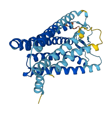 OR14L1P 3D structure
