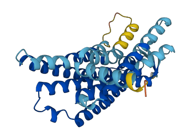 OR14C36 3D structure