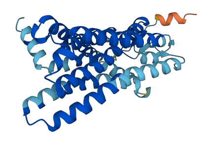 OR2T6 3D structure