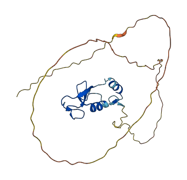 ZNRF2 3D structure