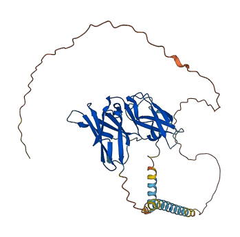 KIR2DL5B 3D structure