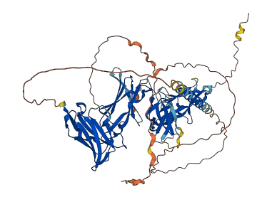 LILRB1 3D structure