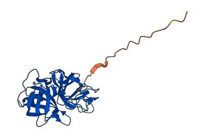 PRSS3P2 3D structure