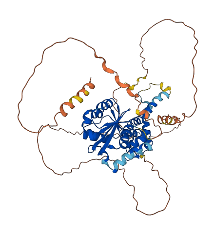 EXD1 3D structure