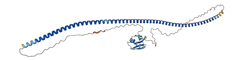 RASSF8 3D structure
