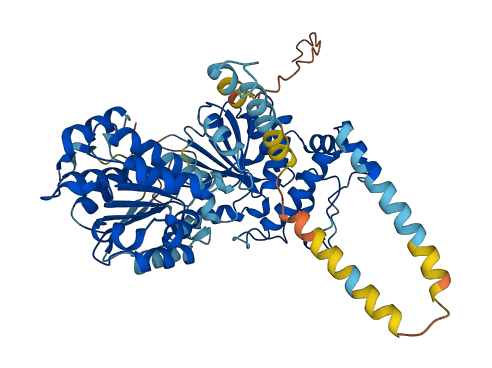 DDX55 3D structure