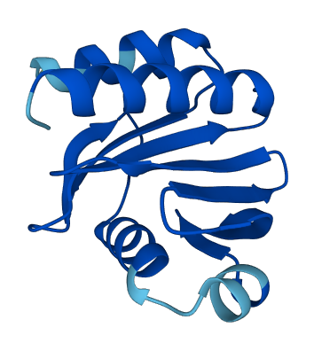 PFN4 3D structure