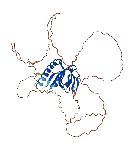 SPATA22 3D structure