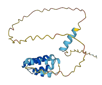 CT45A3 3D structure