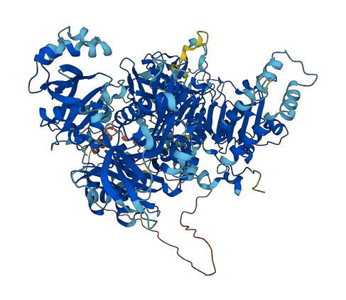 CFAP61 3D structure