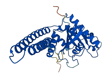 GIMAP7 3D structure