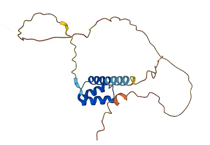 RHOXF1 3D structure