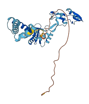 RPLP0P6 3D structure