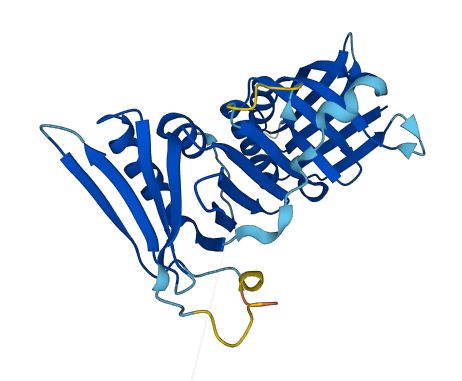 HUS1B 3D structure