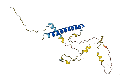 MBD3L2 3D structure