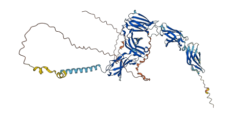 IL31RA 3D structure