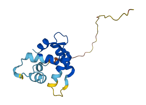 MCFD2 3D structure