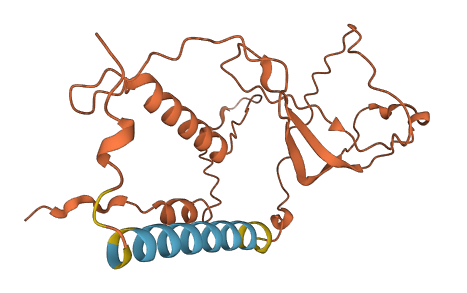 LINC01006 3D structure