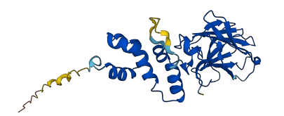 FBXO27 3D structure