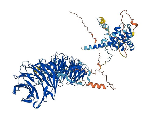 WDR36 3D structure