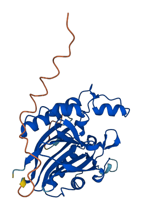 PPTC7 3D structure