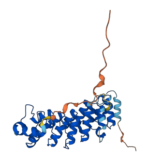 NFKBID 3D structure