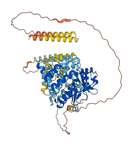 COQ8A 3D structure