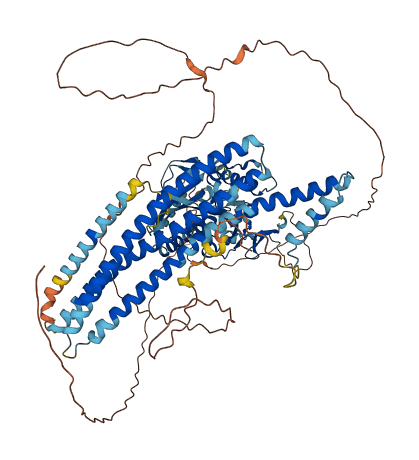 KIF18A 3D structure