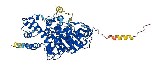 Ces2a 3D structure