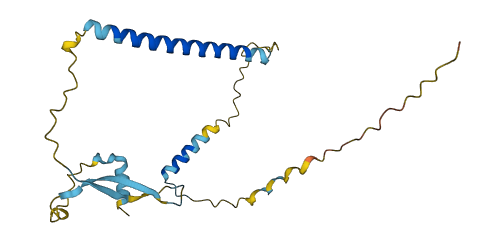 Znrd1-as 3D structure